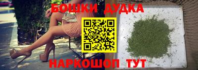 МДПВ Гатчина