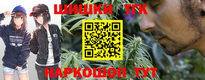 МДПВ Гатчина