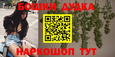 МДПВ Гатчина