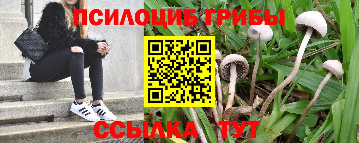 Галлюциногенные грибы мицелий Назарово