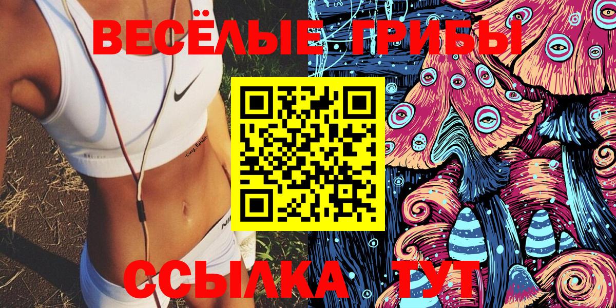 что такое наркотик  Вход с VPN  Псилоцибиновые грибы мицелий  Назарово  Галлюциногенные грибы мицелий 